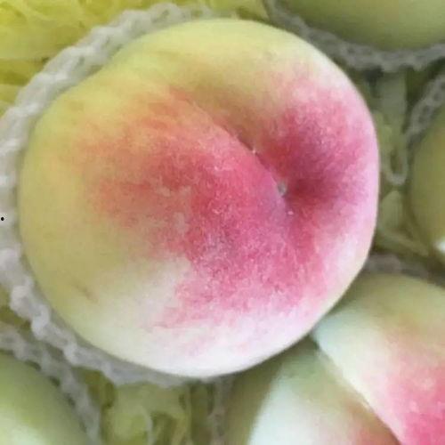 水水蜜桃在线视频,甜蜜诱惑，在线视频带你领略桃香四溢