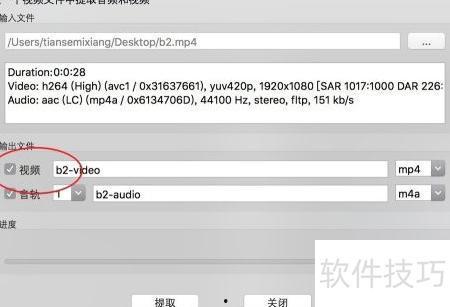 苹果在线视频提取,探索科技巨头背后的创新与魅力