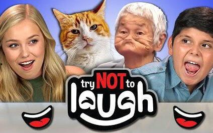 美国成年动漫在线视频,探索美国成年动漫在线视频的流行趋势与魅力